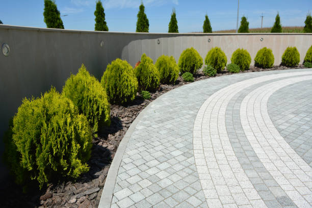 Best Driveway Pavers Near Me  in Momence, IL