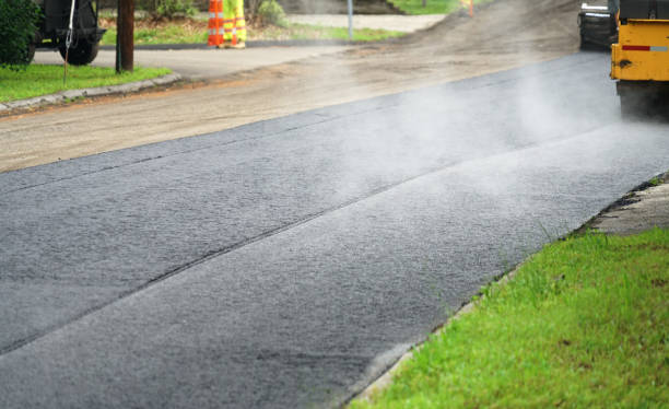 Best Professional Driveway Pavers  in Momence, IL