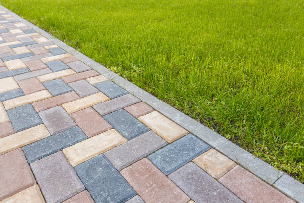 Best Driveway Paving Near Me  in Momence, IL